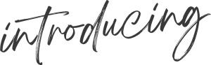 introducing
